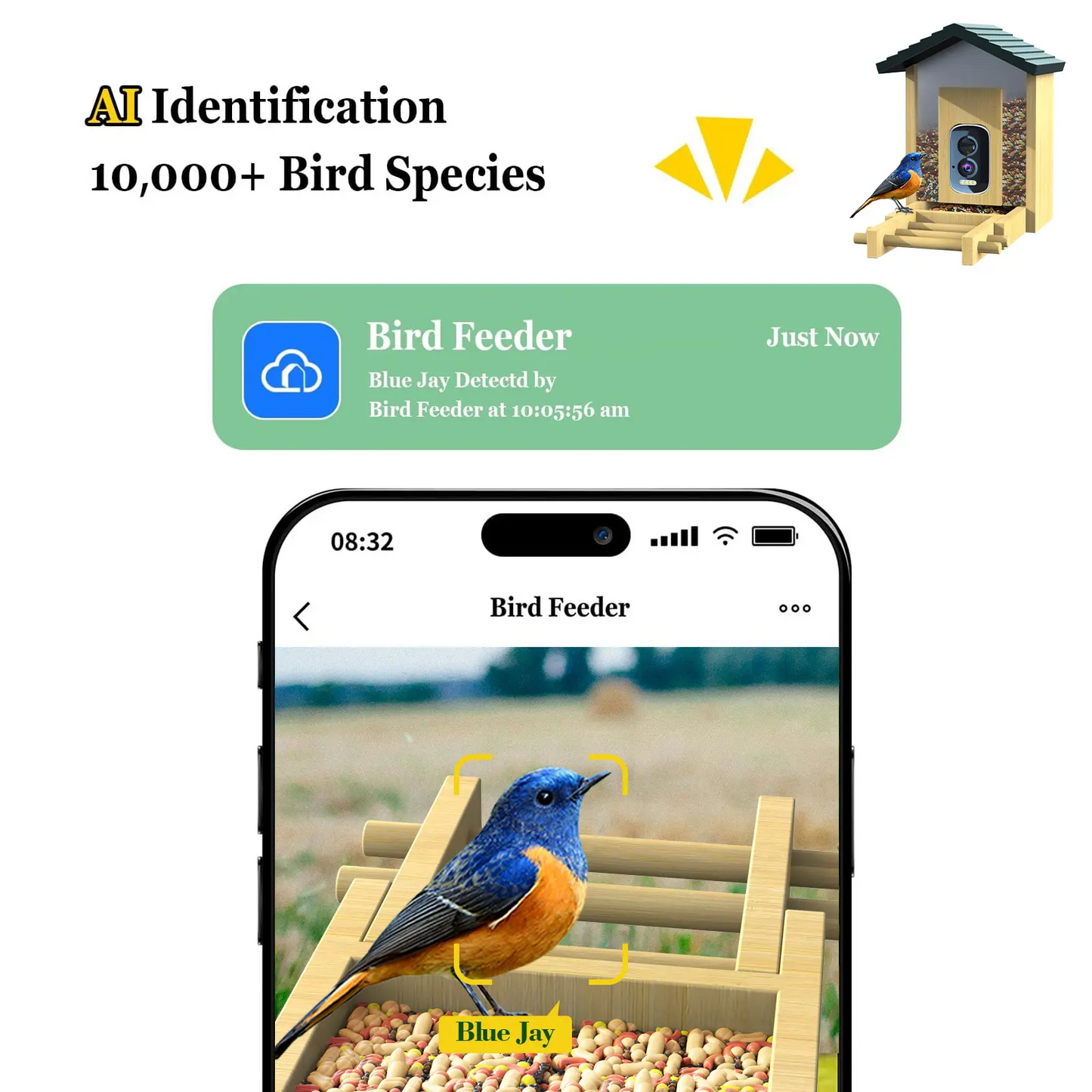 JSOCAM Bird feeder AI Identify for 10000 Plus Birds Species Real-time Monitor Bird Feeder with Camera