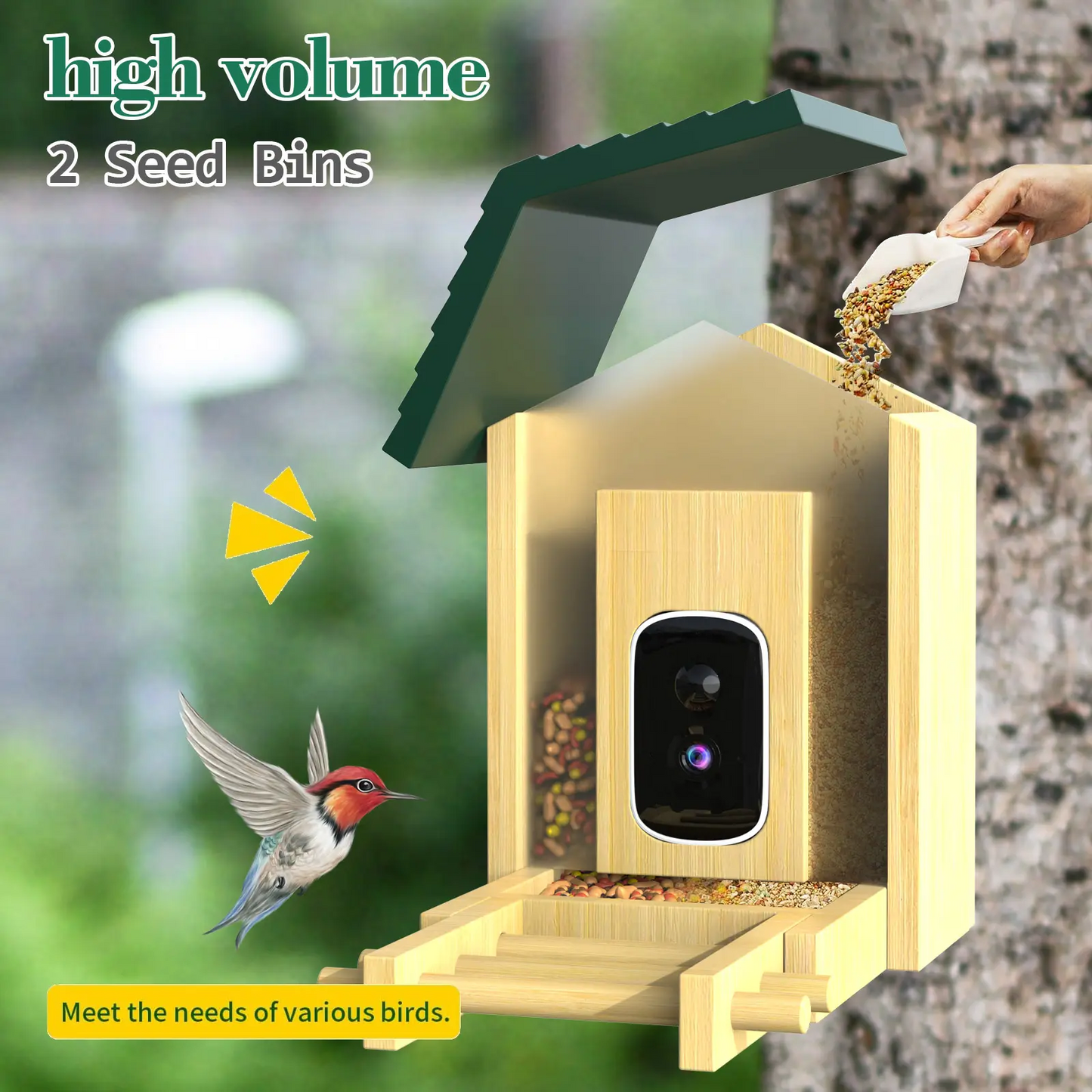 JSOCAM Bird feeder AI Identify for 10000 Plus Birds Species Real-time Monitor Bird Feeder with Camera