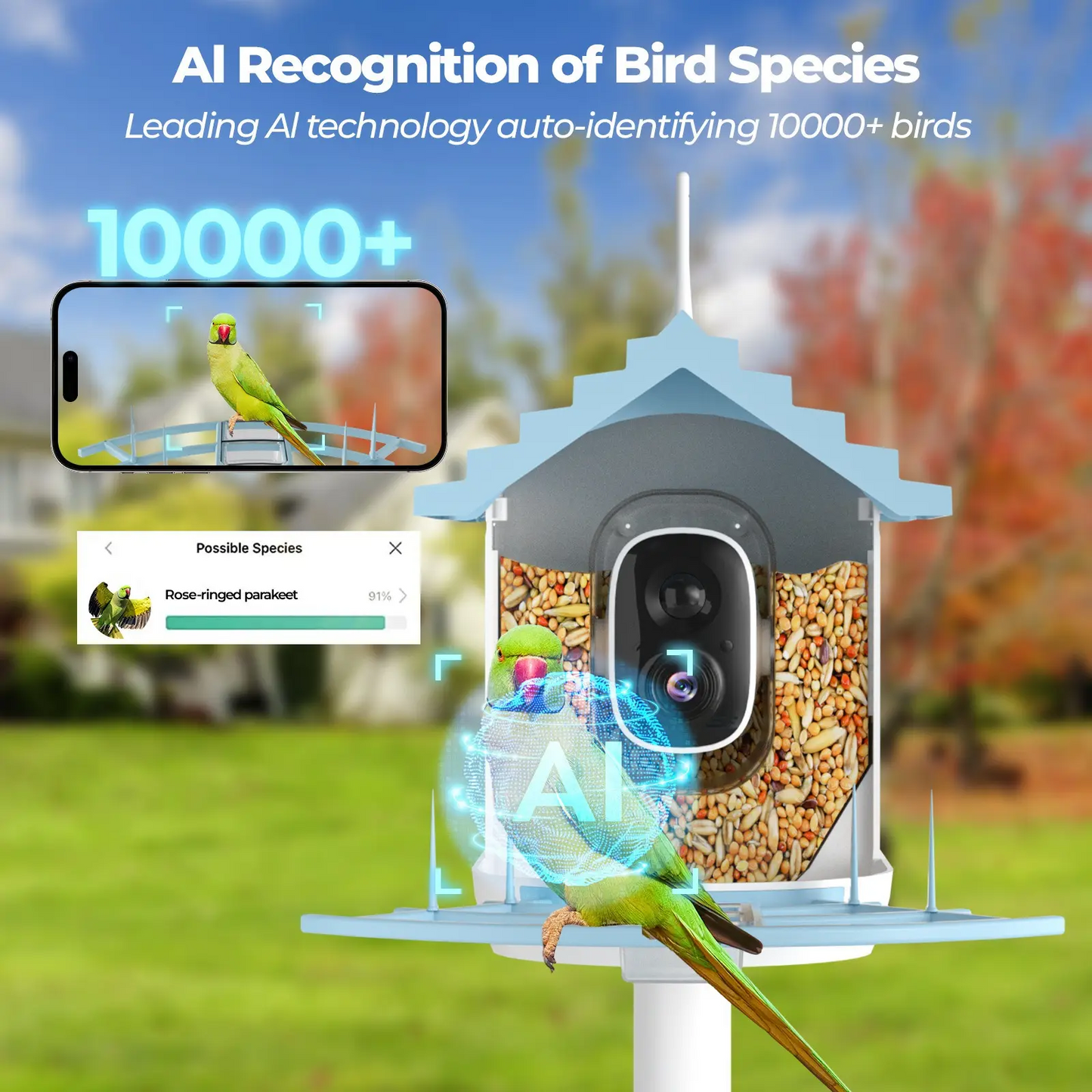 JSOCAM Pet Product Smart Bird Cabin WiFi AI bird feeder Solar Panel Night Vision Waterproof Smart Bird Feeder With Camera