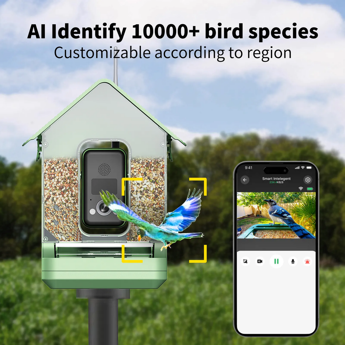 JSOCAM 8MP Real 4K resolution with species AI Bird recognition IP66 waterproof smart bird camera with 1.5L large feeder