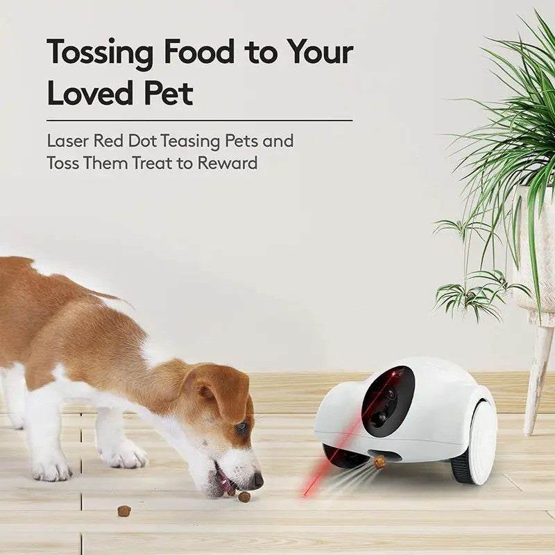 JSOCAM Wholesale Smart Dog Interactive Toy Camera 360 Degree View With Snack Throwing Tracking Function Pet Toy