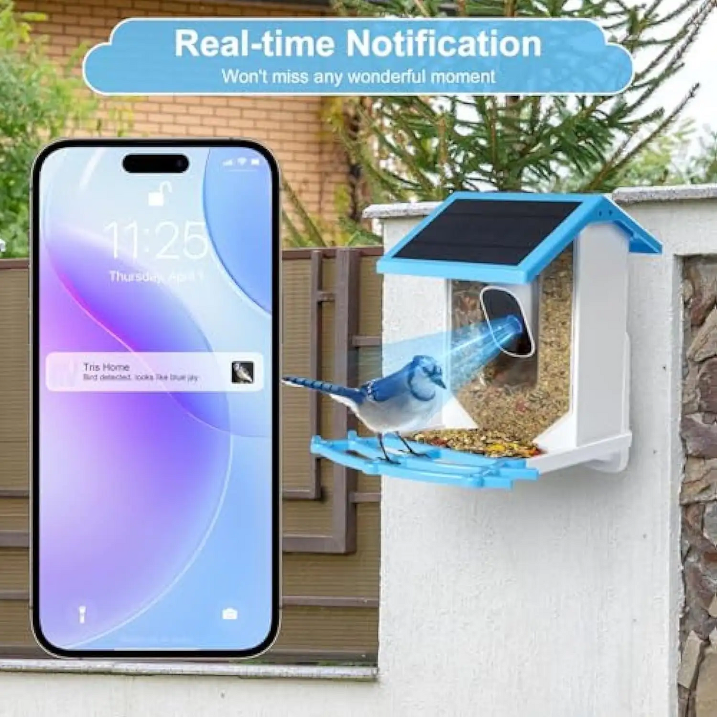 JSOCAM Smart AI Identify 3D 360 Degree Bird View System Car Security Camera 2MP Waterproof Outdoor Bird Feeders Solar Charging