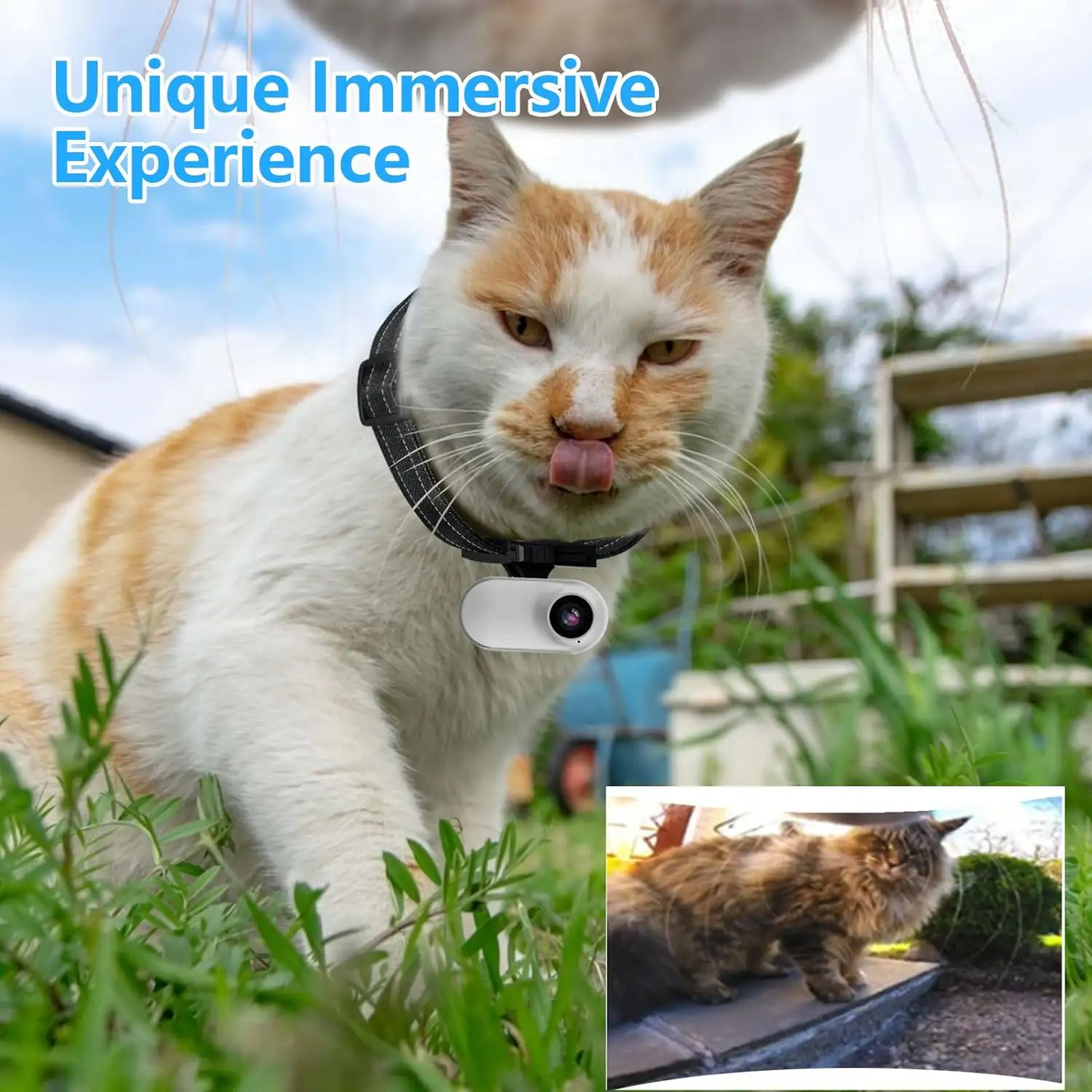 JSOCAM Factory Wholesale Pet Sports Collar Camera Mini Magnetic Thumb Action Camera Pet Outdoor Video Recording Wireless Camera