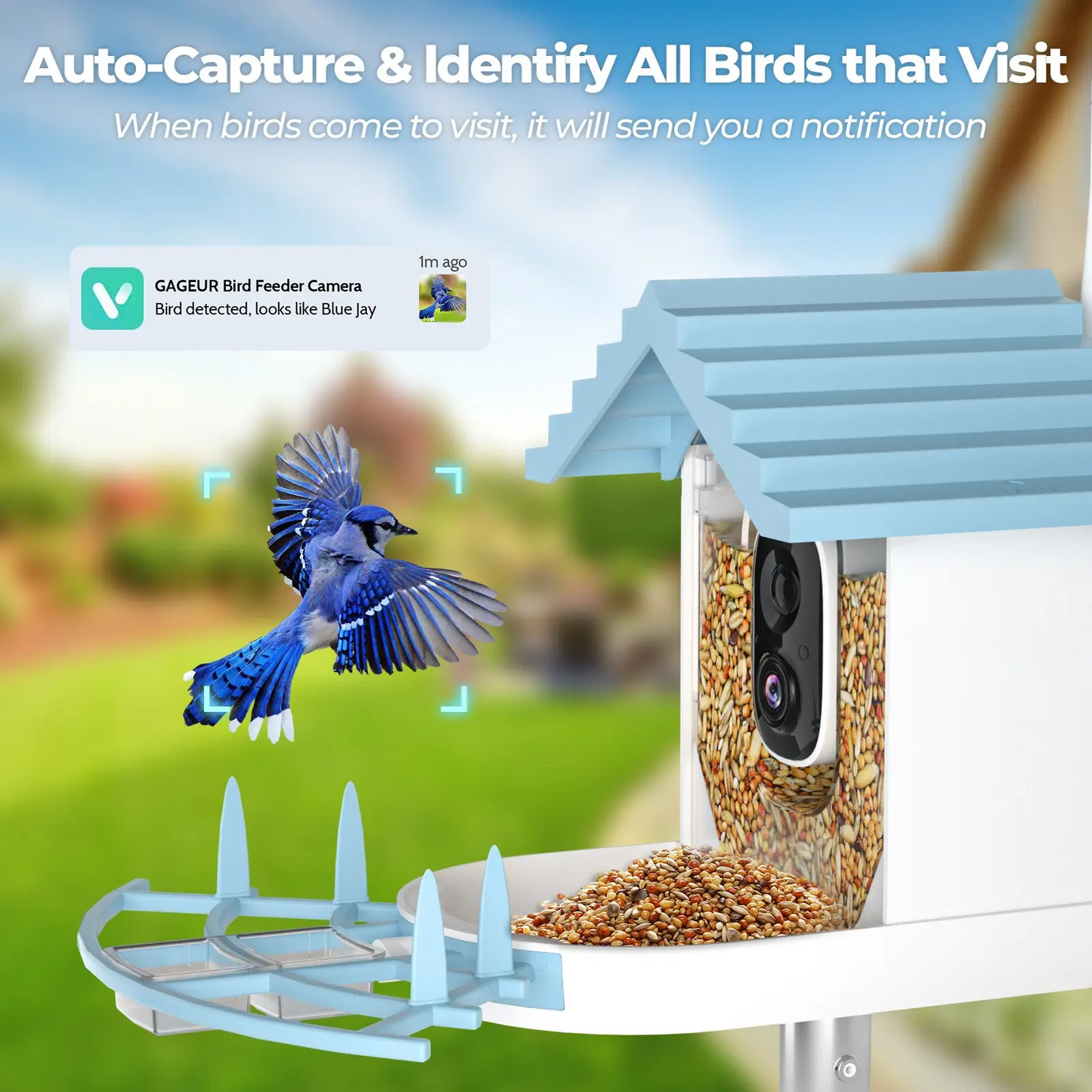 JSOCAM Pet Product Smart Bird Cabin WiFi AI bird feeder Solar Panel Night Vision Waterproof Smart Bird Feeder With Camera