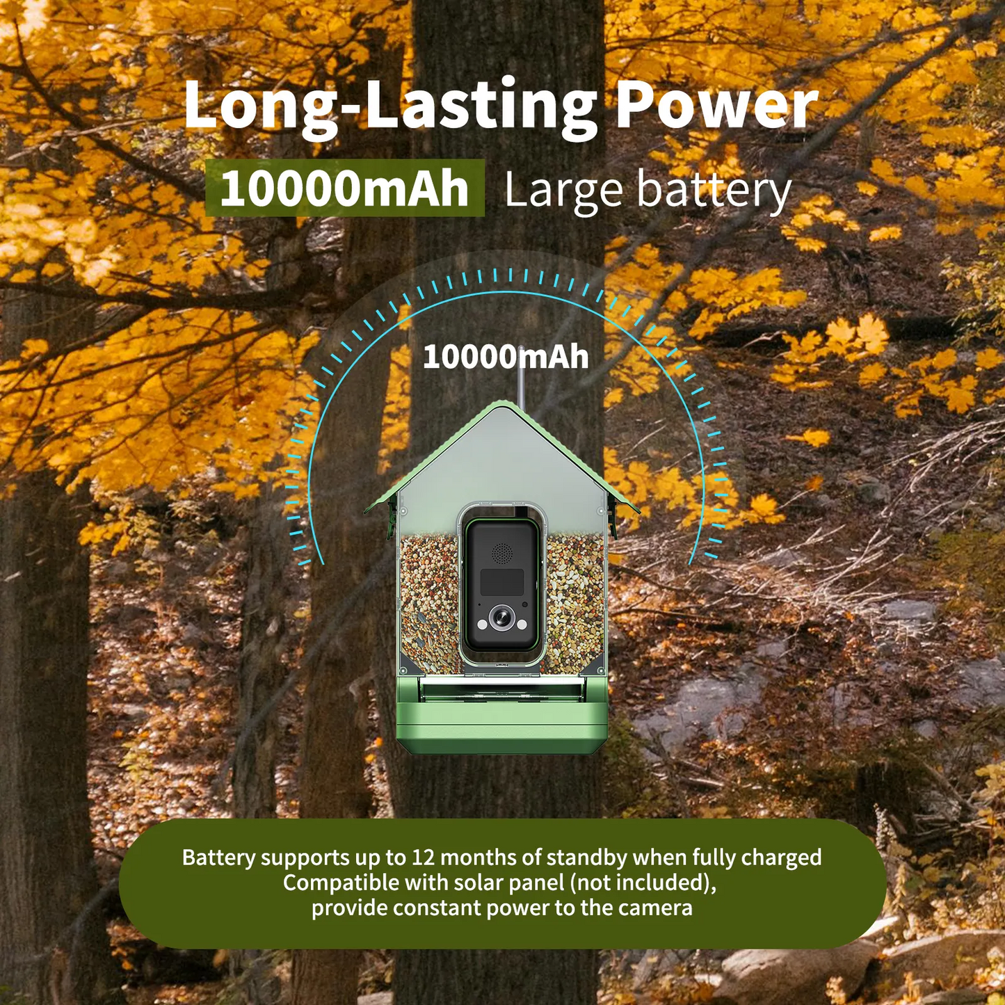 JSOCAM 8MP Real 4K resolution with species AI Bird recognition IP66 waterproof smart bird camera with 1.5L large feeder